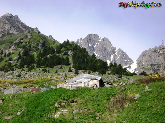 ardesen plateu in rize,turkey,mountain,landscape,ardesen plateu,rize