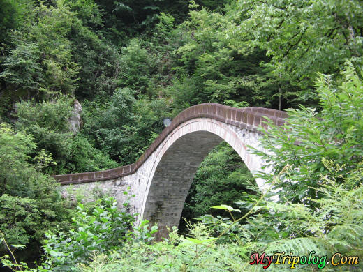 ayder plateu and a bridge in rize,turkey,bridge,landscape,rize