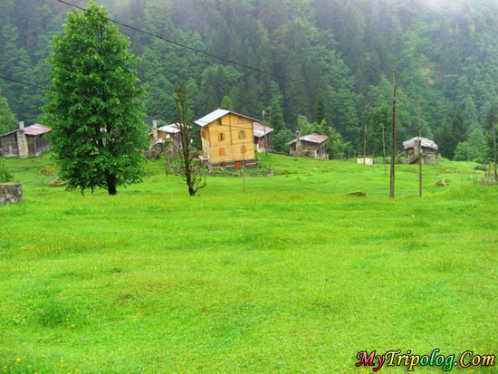 ayder plateu,yayla,rize,turkey,nature