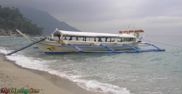 Boat is anchored on white beach,boat,white beach,philipines,puerto galera