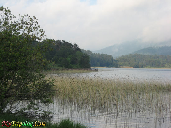 abant lake in bolu,abant,port,lake,turkey,chaos