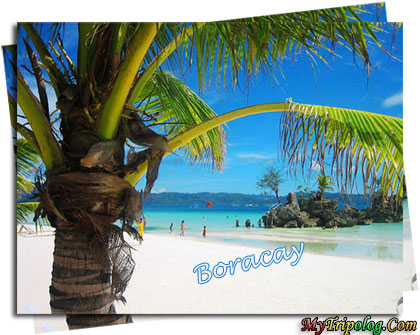 Palm and white beach boracay,boracay,white beach,philippines,palm