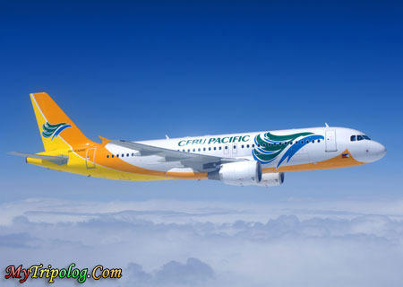 cebu pacific aeroplane,cebu pacific,aeroplane