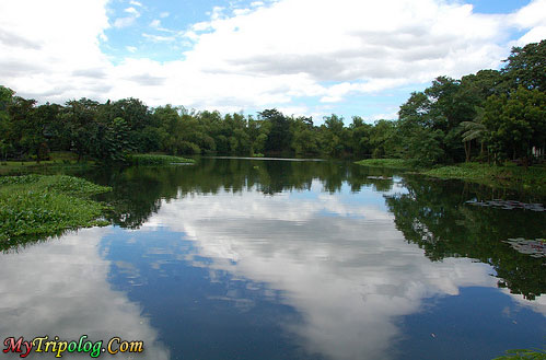 lagoon view in wildlife ninoy aquino parks manila,ninoy aquino parks,wildlife,lagoon,manila