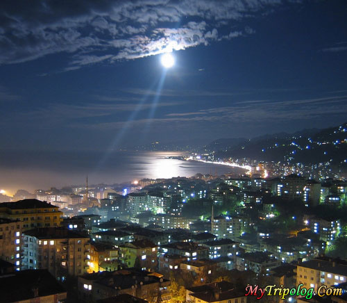 rize province at night,city,rize,turkey