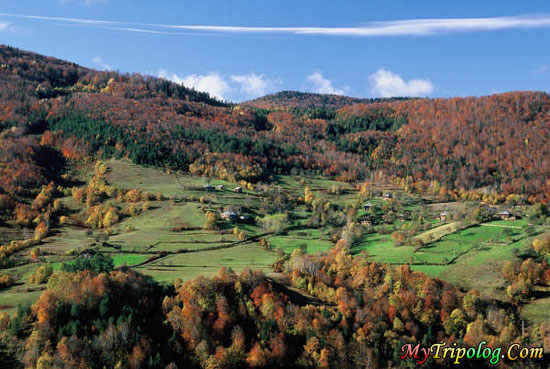 a nature view in sinop,nature,mountain,landscape,turkey