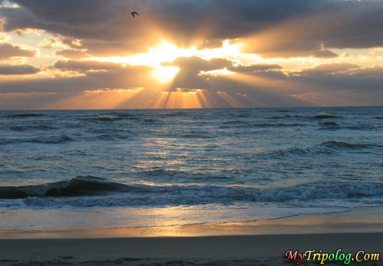 sunset on beach. sunset on beach.