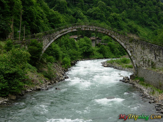 A valley and river in trabzon city,turkey,bridge,river,forest,mountain