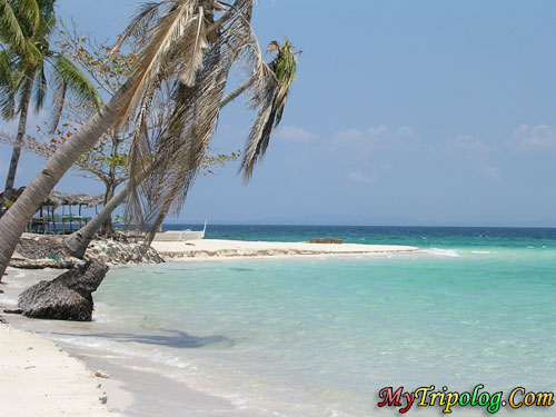 virginislands in cebu,philippines,cebu,white sand,beach