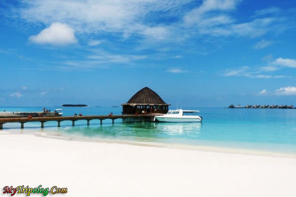 Maldives,water bungalows,beach,yacht,angsana,landscape