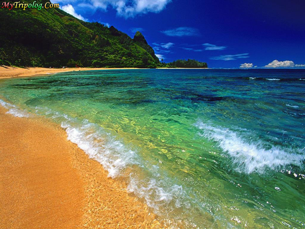 a beach in kauai hawaii,hawaii,wallpaper,beach,kauai