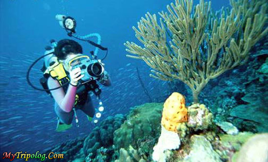 diving in fethiye,fethiye,turkey,diving,underwater world