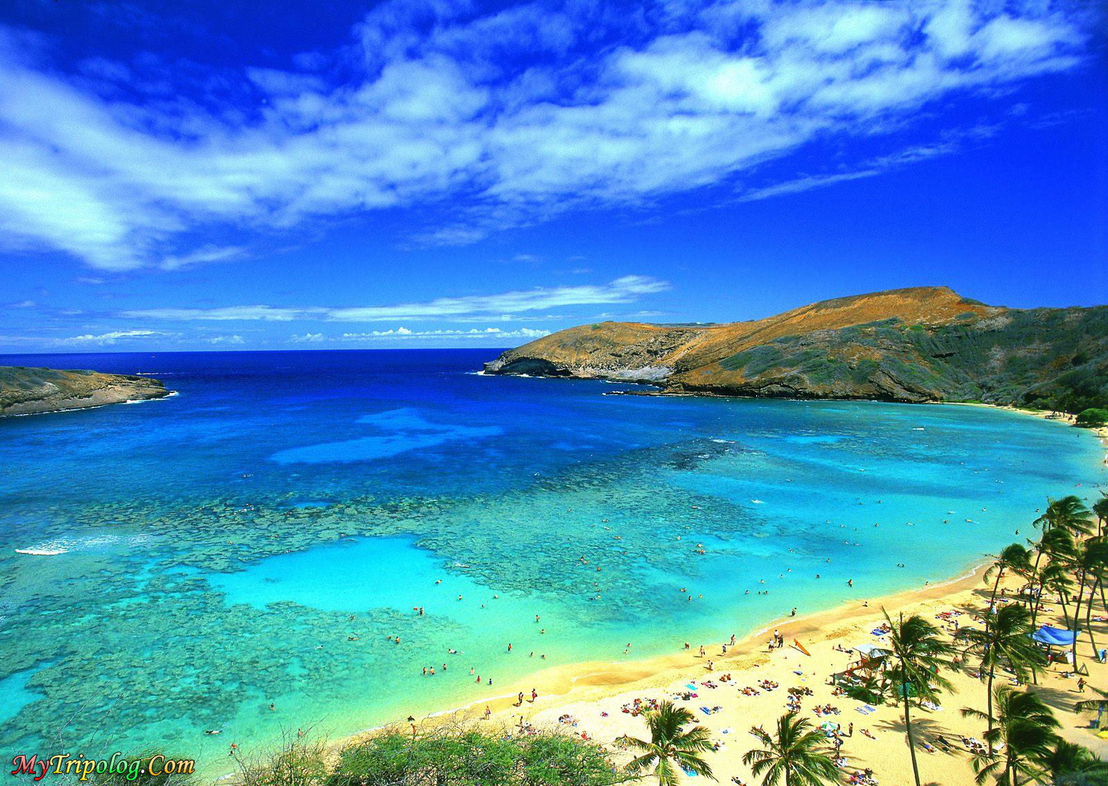 hawaii,hanauma bay,oahu,wallpaper,beach,cobalt water hawaii,hanauma bay,oahu,wallpaper,beach,cobalt water