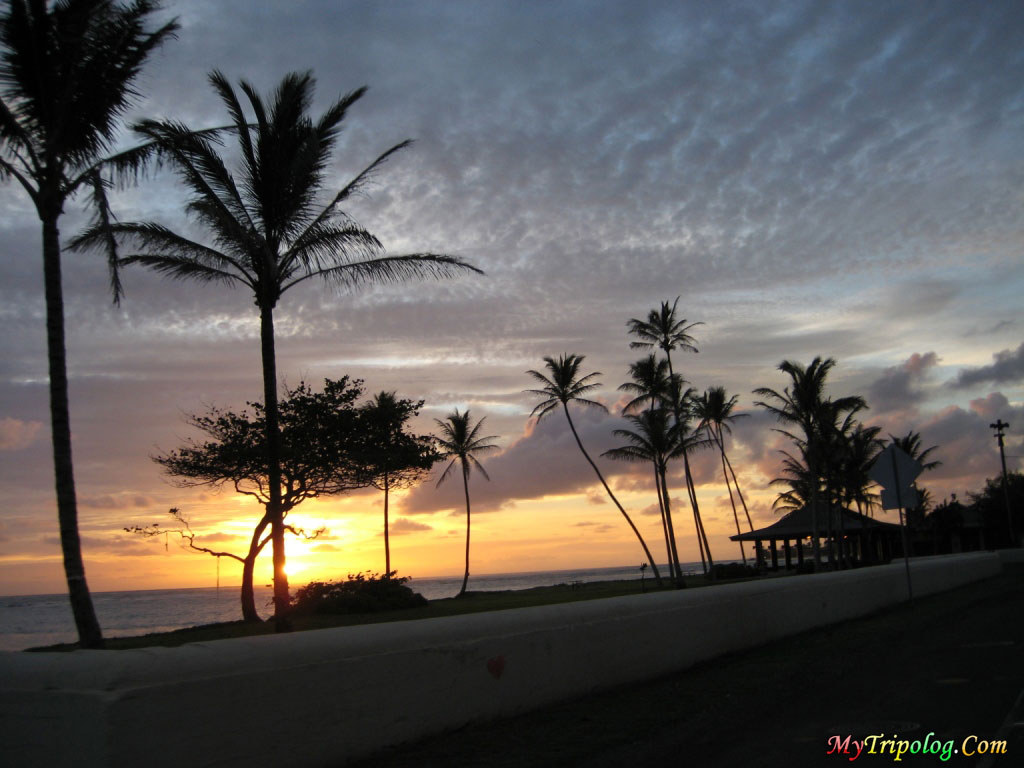 hawaii,sunset,palms,wallpaper,landscape