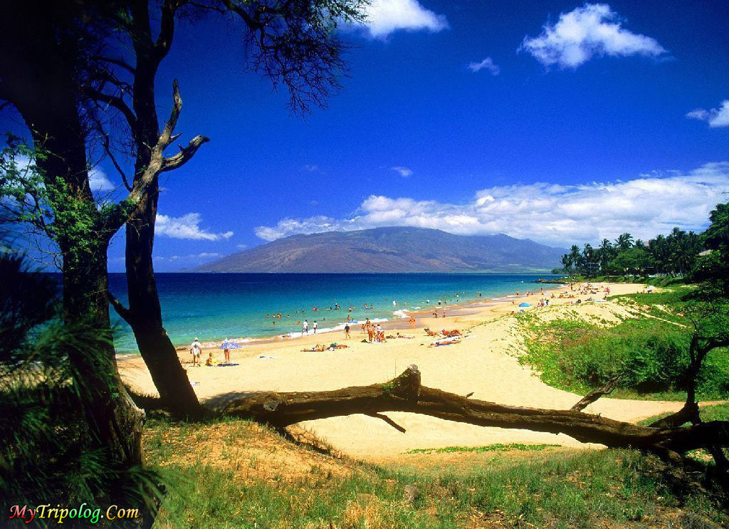 hawaii beach wallpaper. kihei each in maui,hawaii