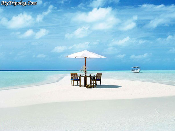 maldives,beach, crystal water,sea,dinner table on beach,summer vacation