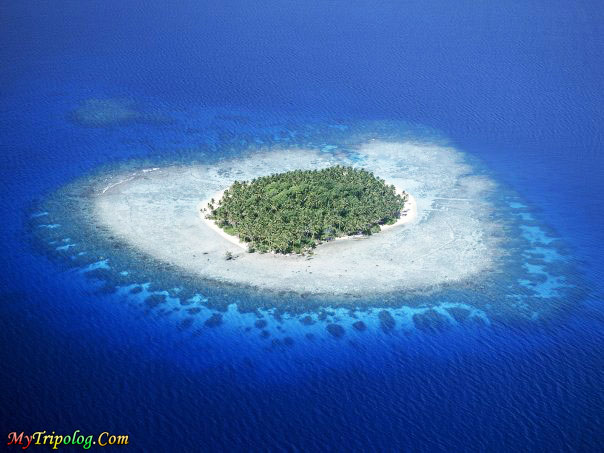 maldives,island in maldives,maldive islands,wonderful view,lonely island