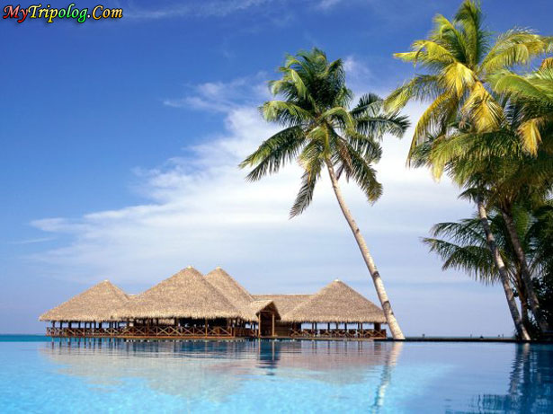 maldives,palms on beach,water bungalows,beautiful view,maldive islands