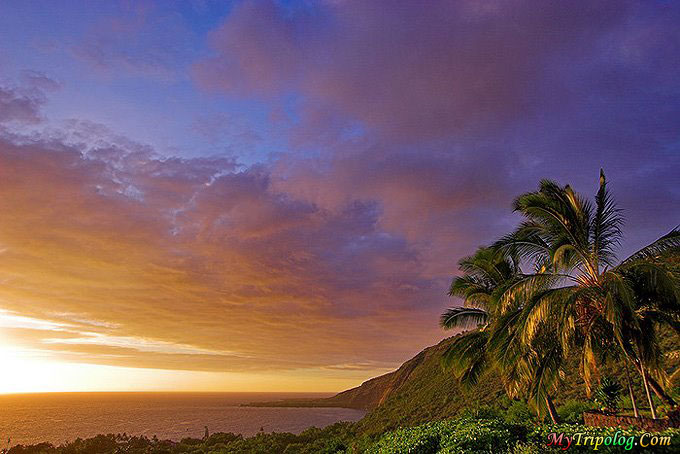 oahu,hawaii,sunset,palms,exotic island