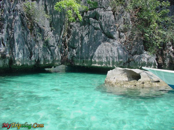 palawan,philippines,lagoon,crystal water,wonderful view,philippines travel guide