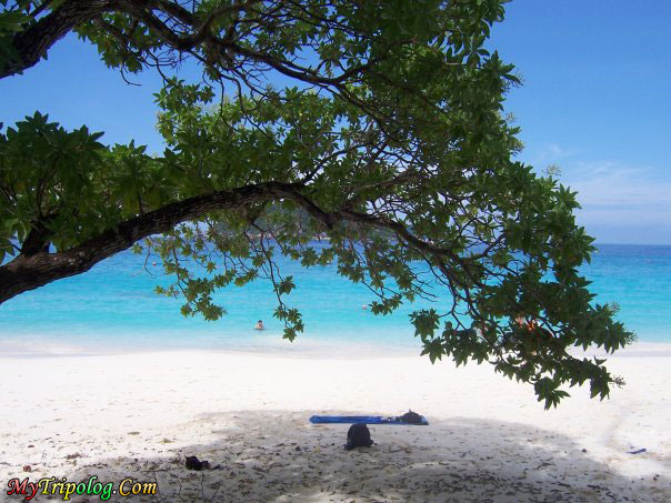 ,thailand,similan island,1 of top 10 island in the world,beach,sea,landscape