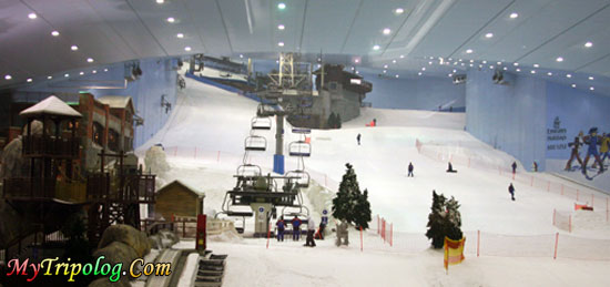 ski dubai,uae,skiing,dubai,winter sports,photo