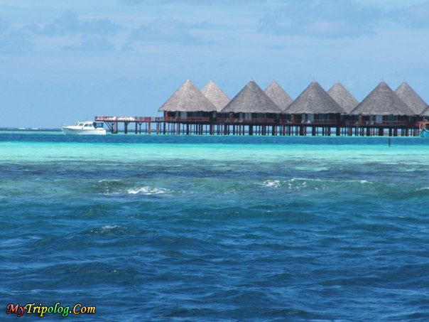 water bungalows in maldives,maldives,water bungalows,velidhu,sea,