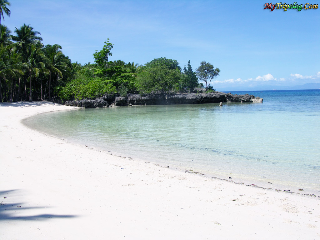 cebu,beach,philippines,sea,trees,white sand