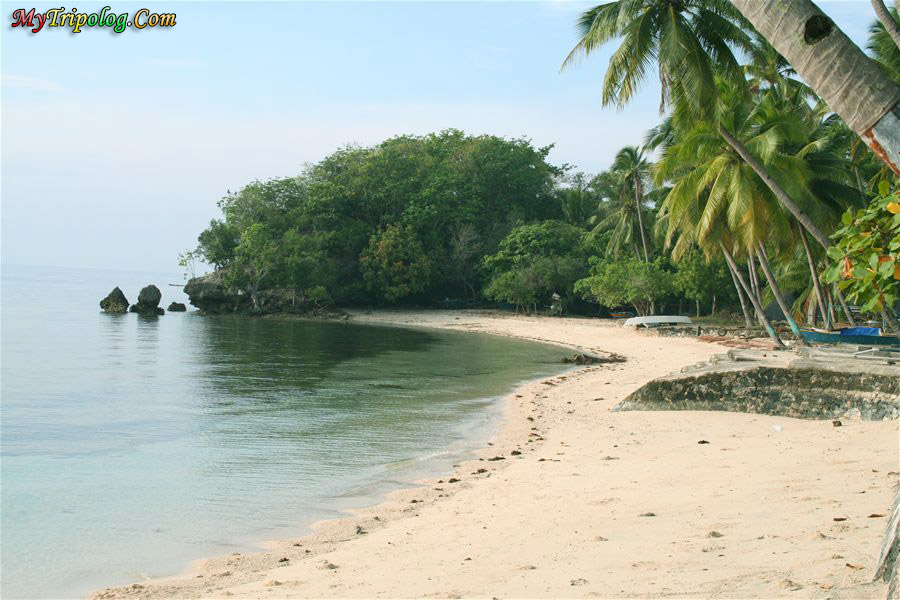 beach in cebu,philippines,natue,palm trees,wallpaper