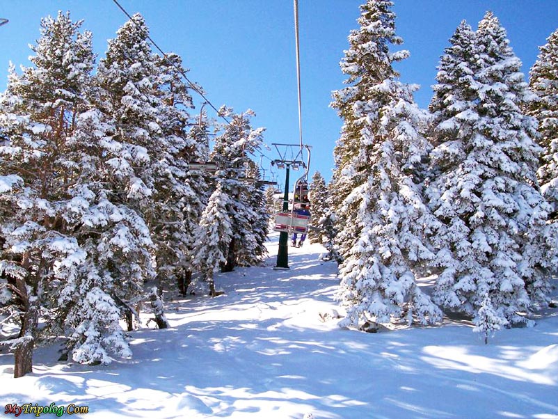 kartalkaya ski resorts,ski run,bolu,turkey,wallpaper,winter,snow,trees