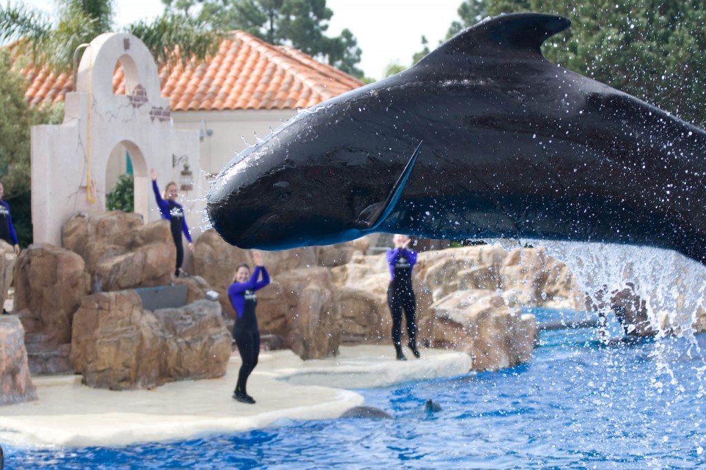 San Diego’s Seaworld Amusement Park, California – Travel Around The