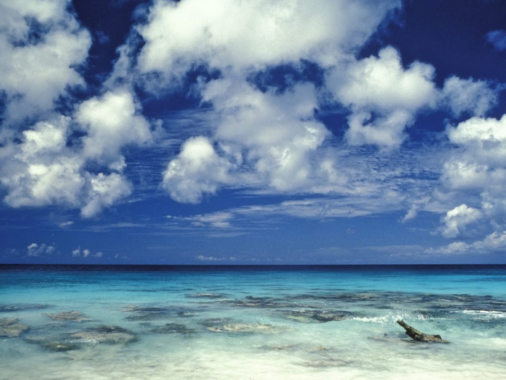 Caribbean Sea,Netherland Antilles, Wallpaper
