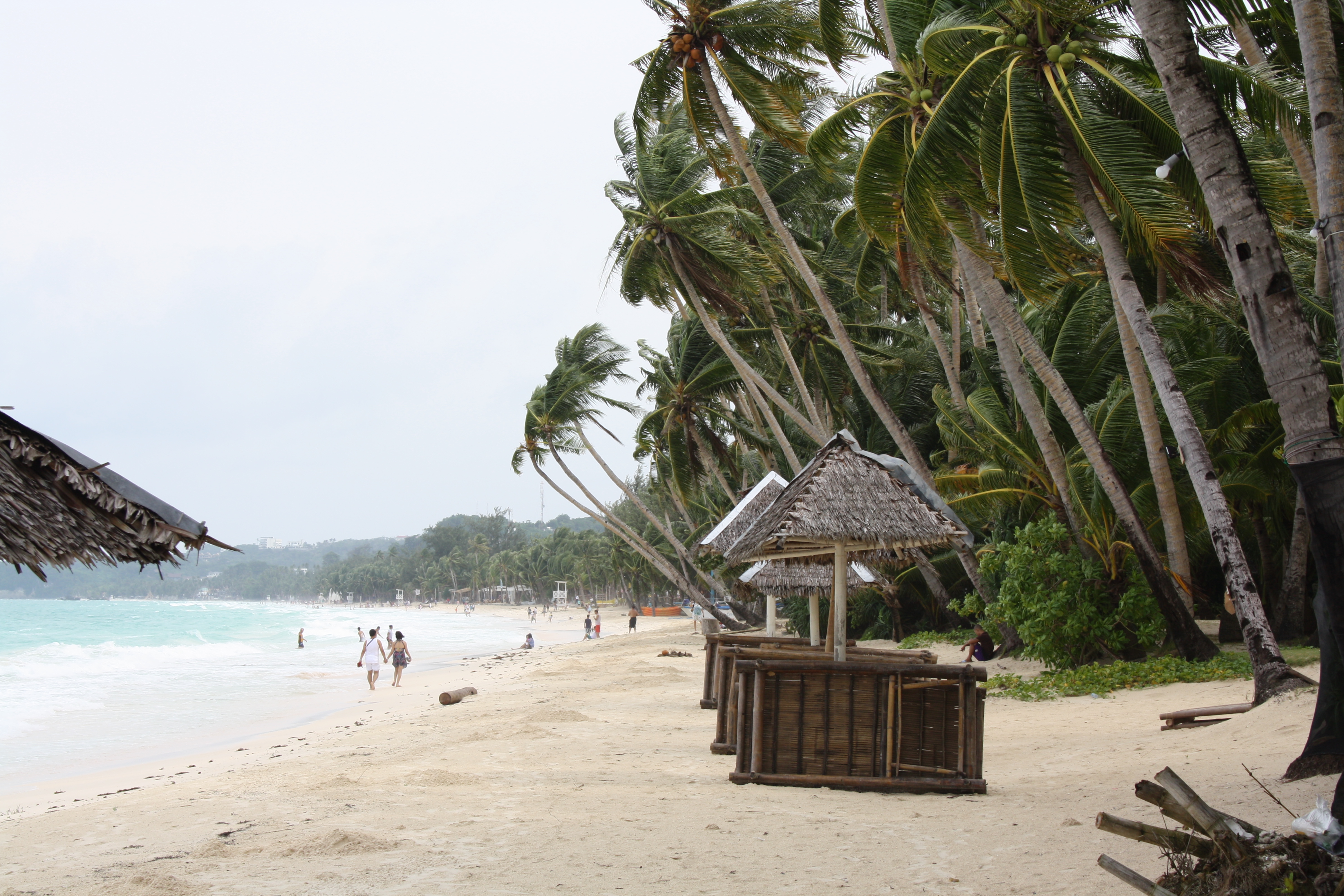 Tropical nature of Boracay Island, Philippines