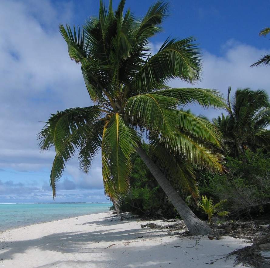 White Sandy Beaches of Cook Islands Tropical Nature