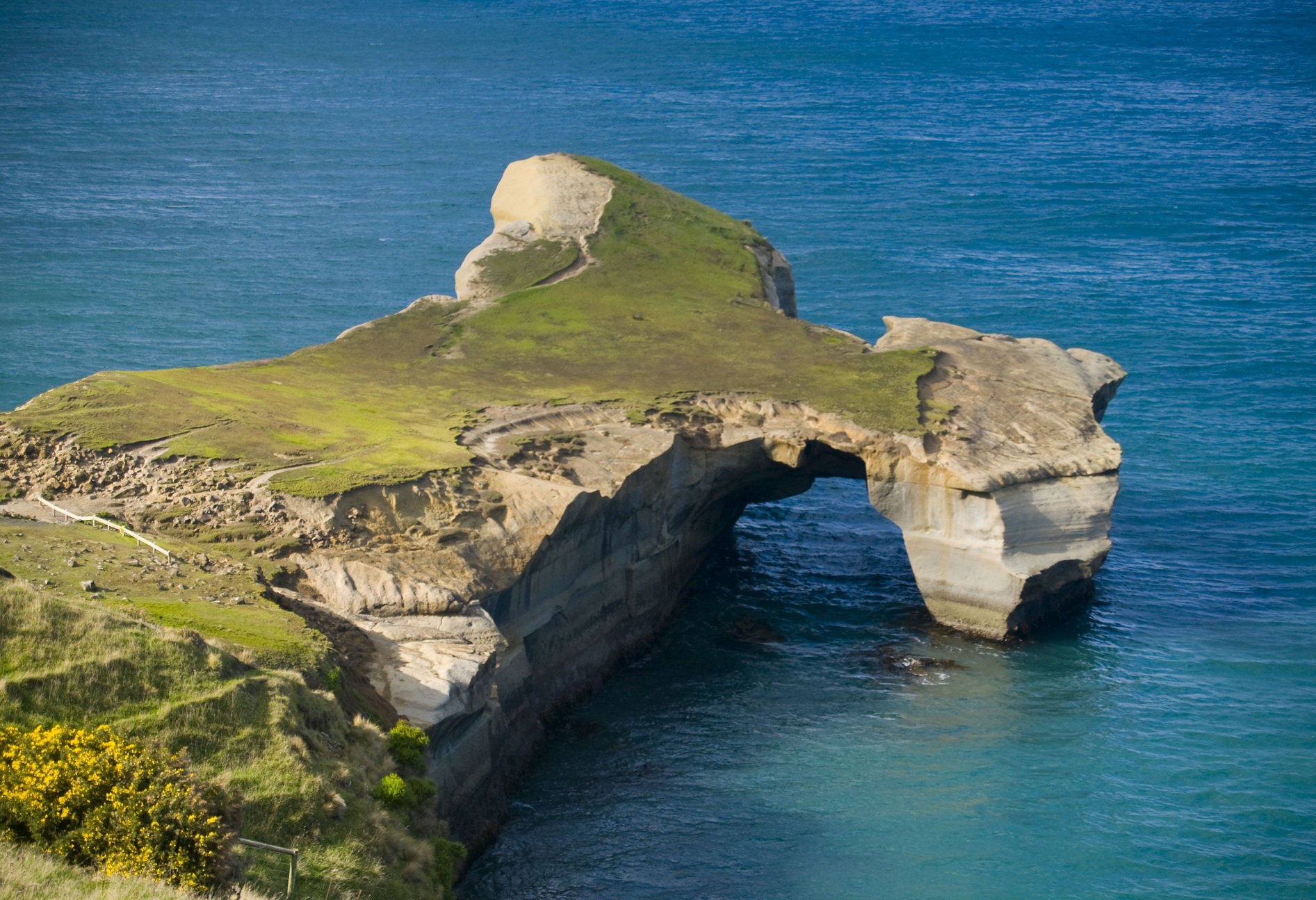 wonderful natural beauties of New Zealand