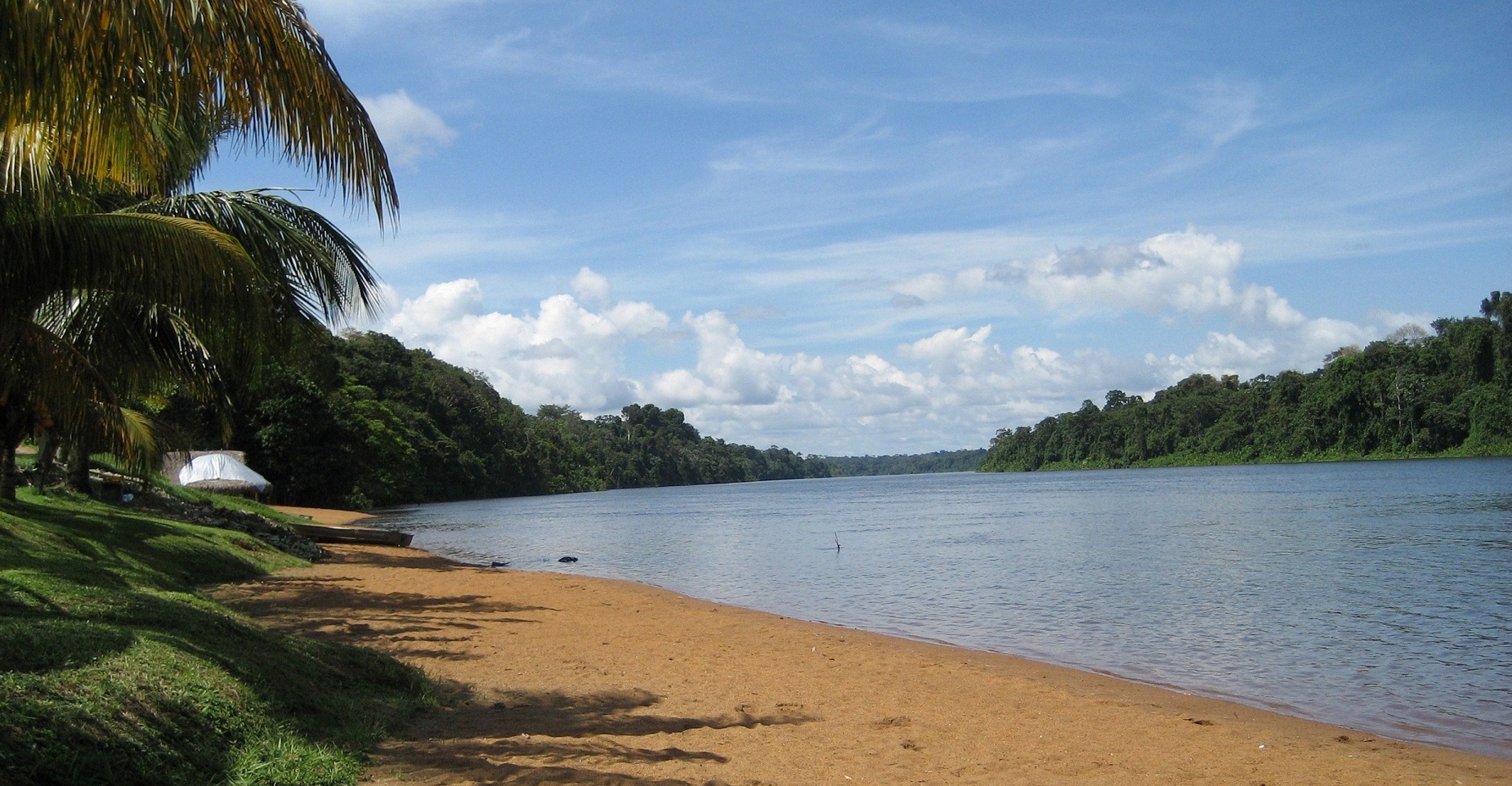 Wallpaper River and tropical coas in Suriname