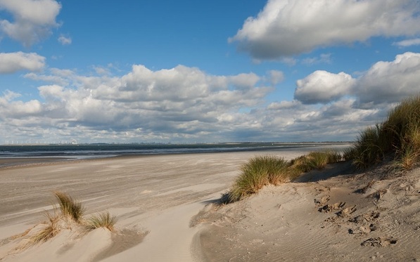 Cleanest and most beautiful beaches along the Dutch coast – Travel