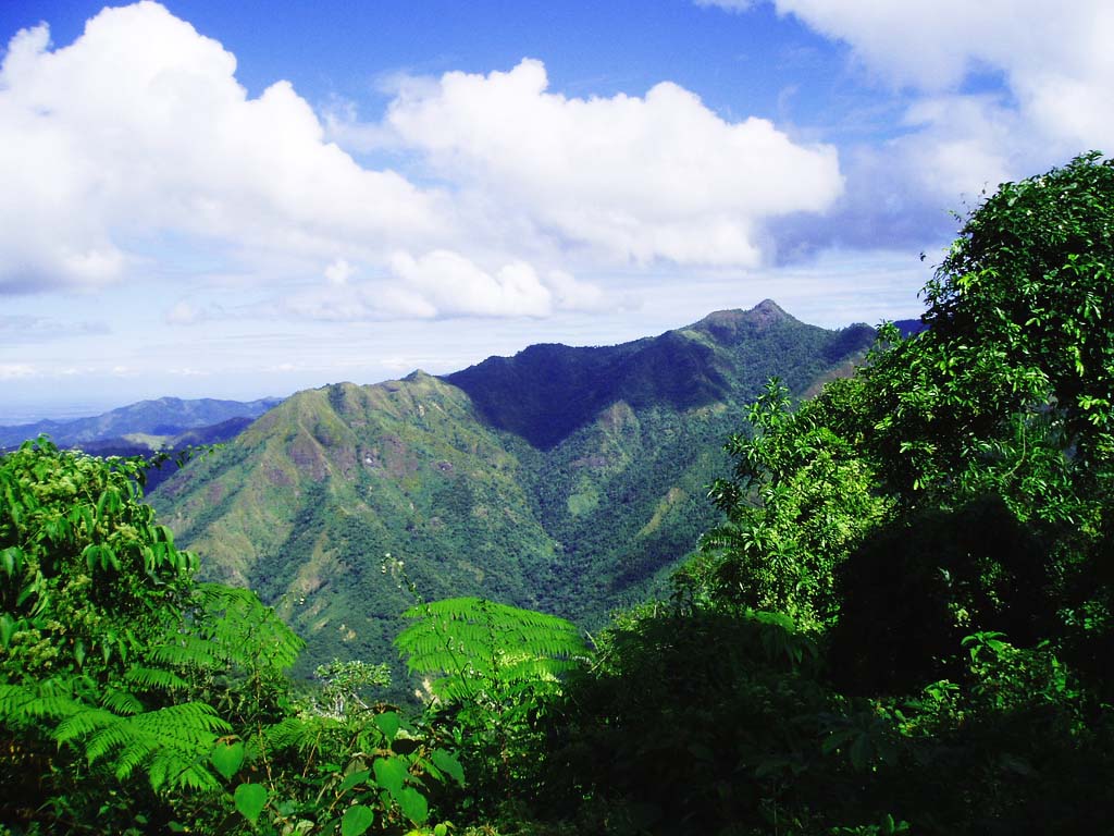 Sierra-Maestra-Mountain-Wallpaper-Cuba.j