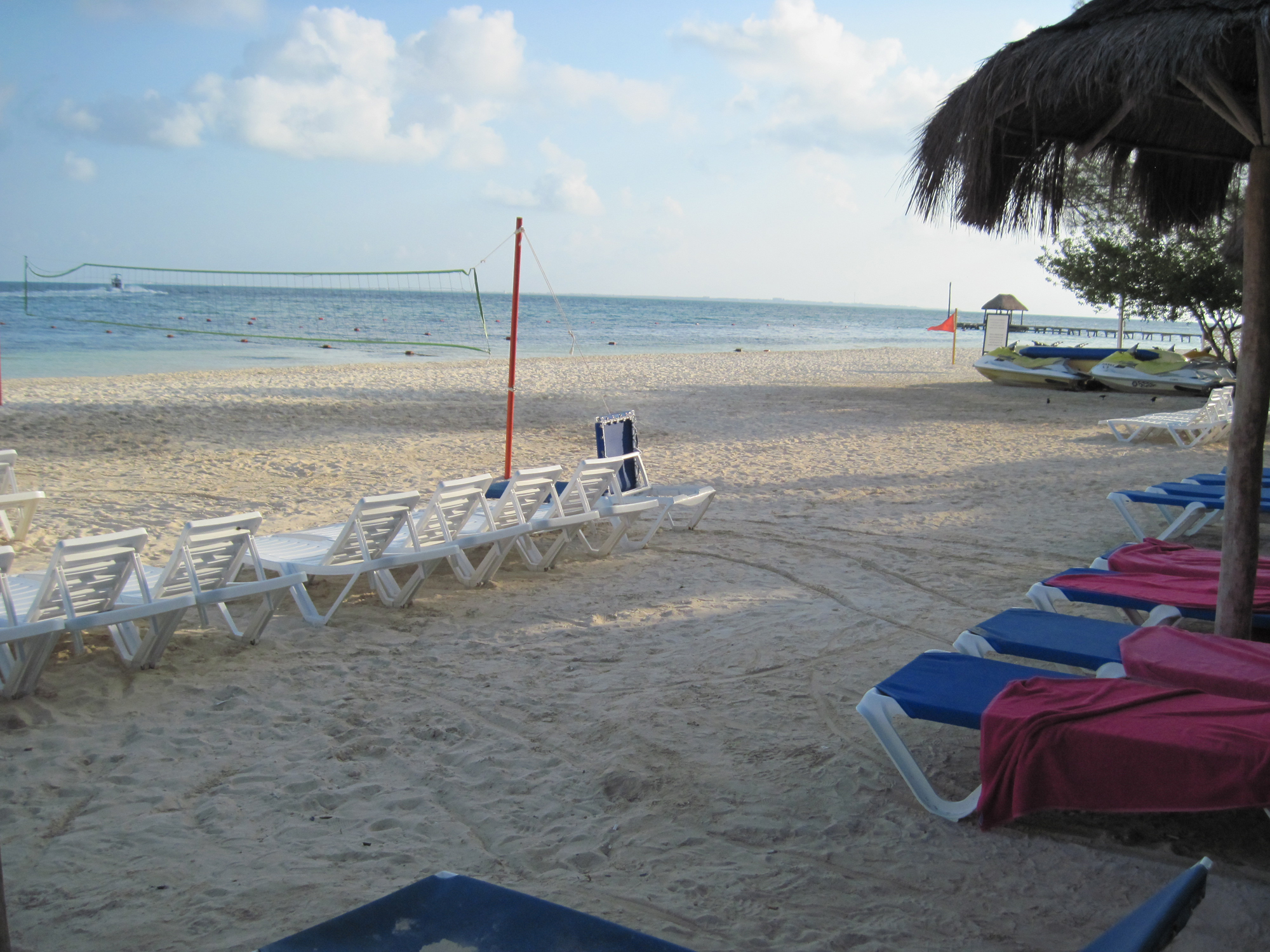 oasis palm beach hotel, mexico, cancun beach palm tree