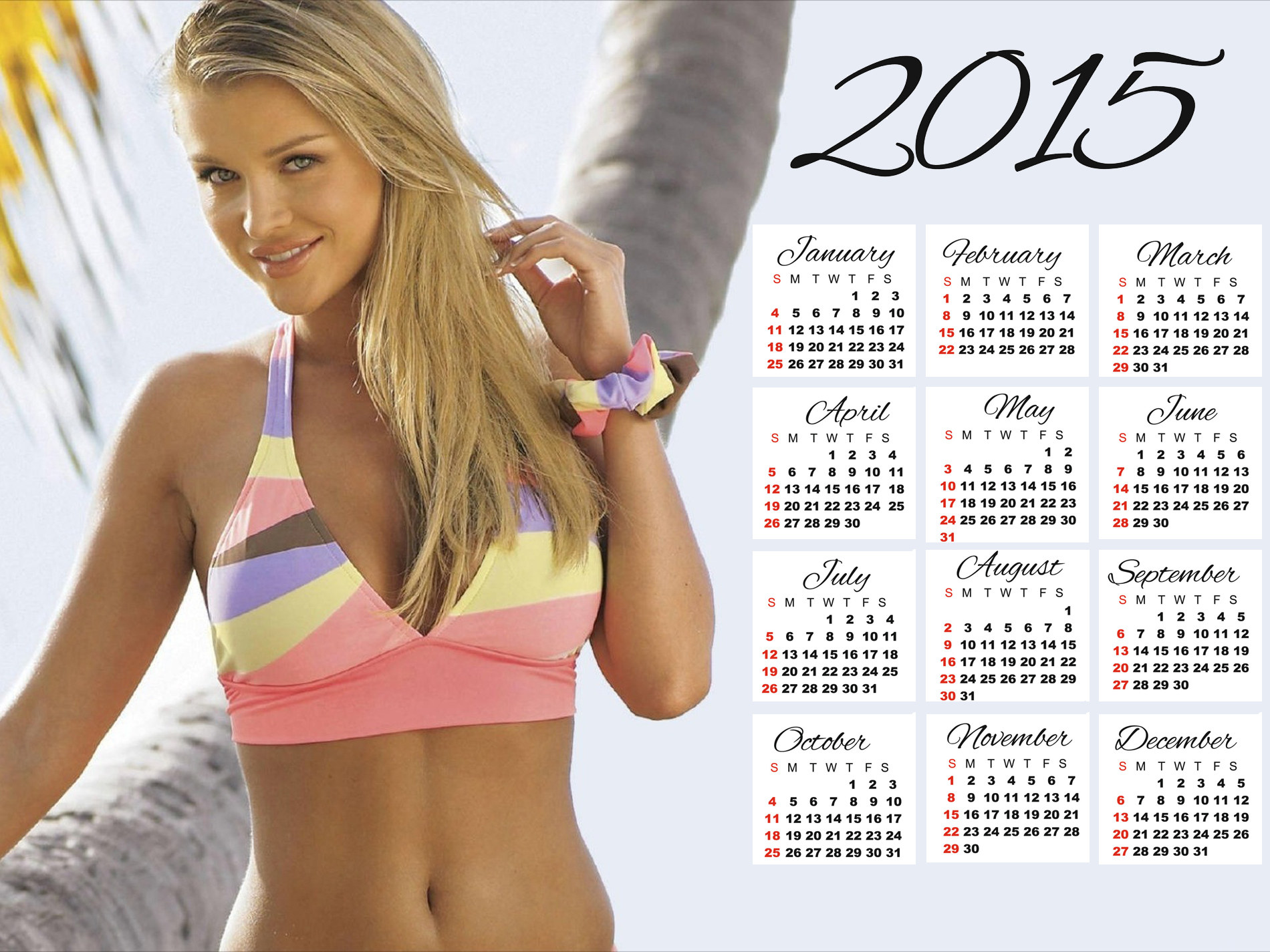 joanna krupa bikini wallpaper calendar 2015