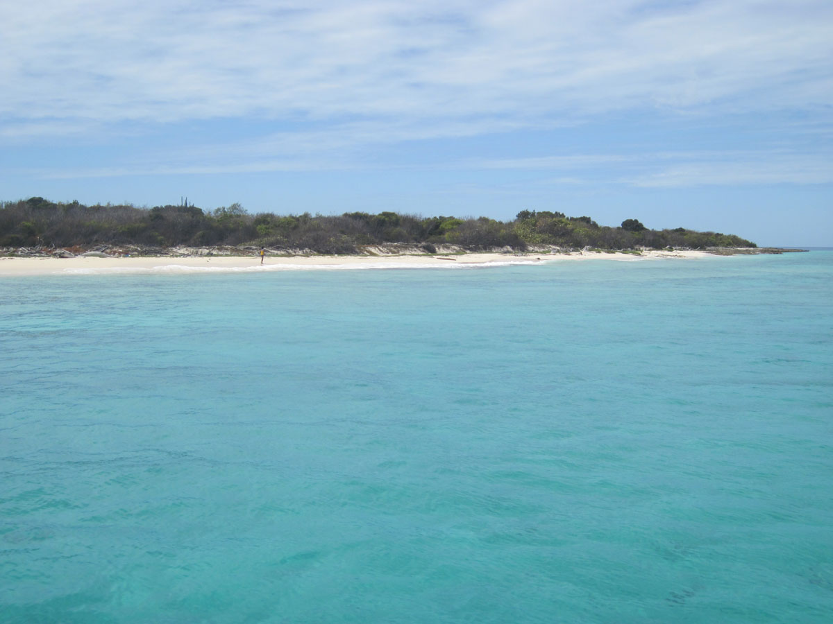 catalina island white beach blue ocean