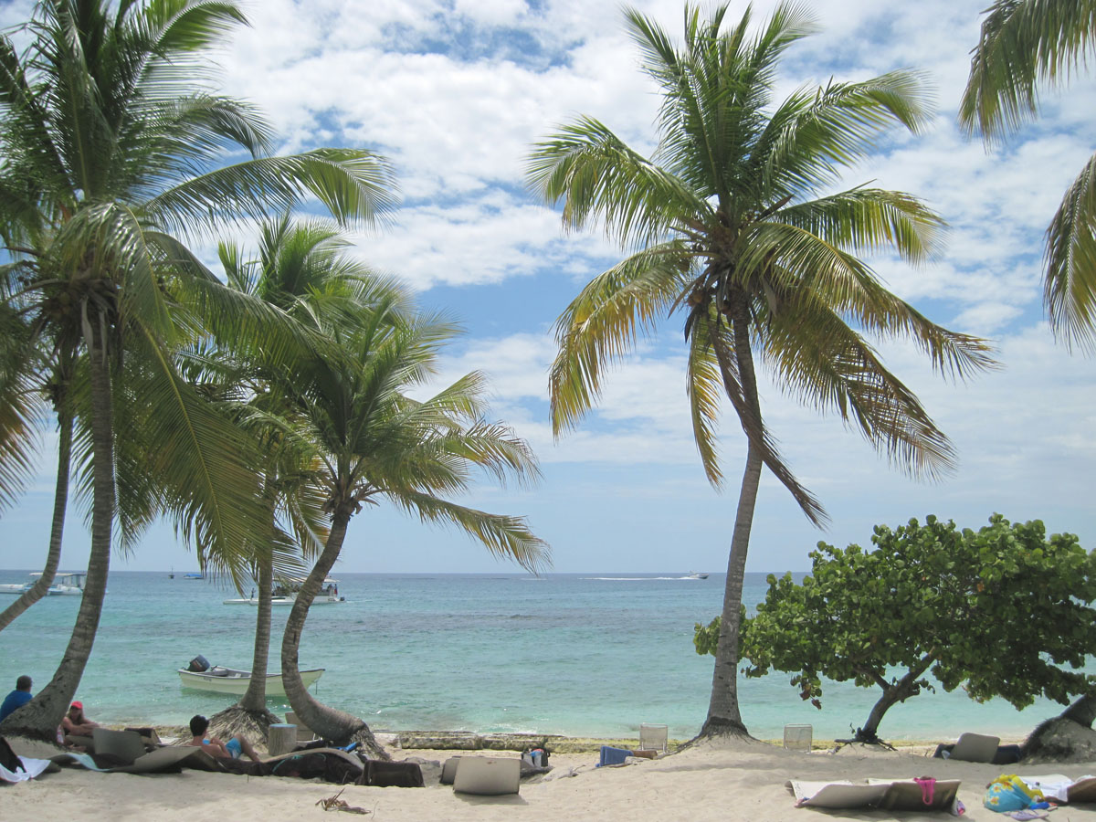 palm trees on isla catalina beach dominican republic