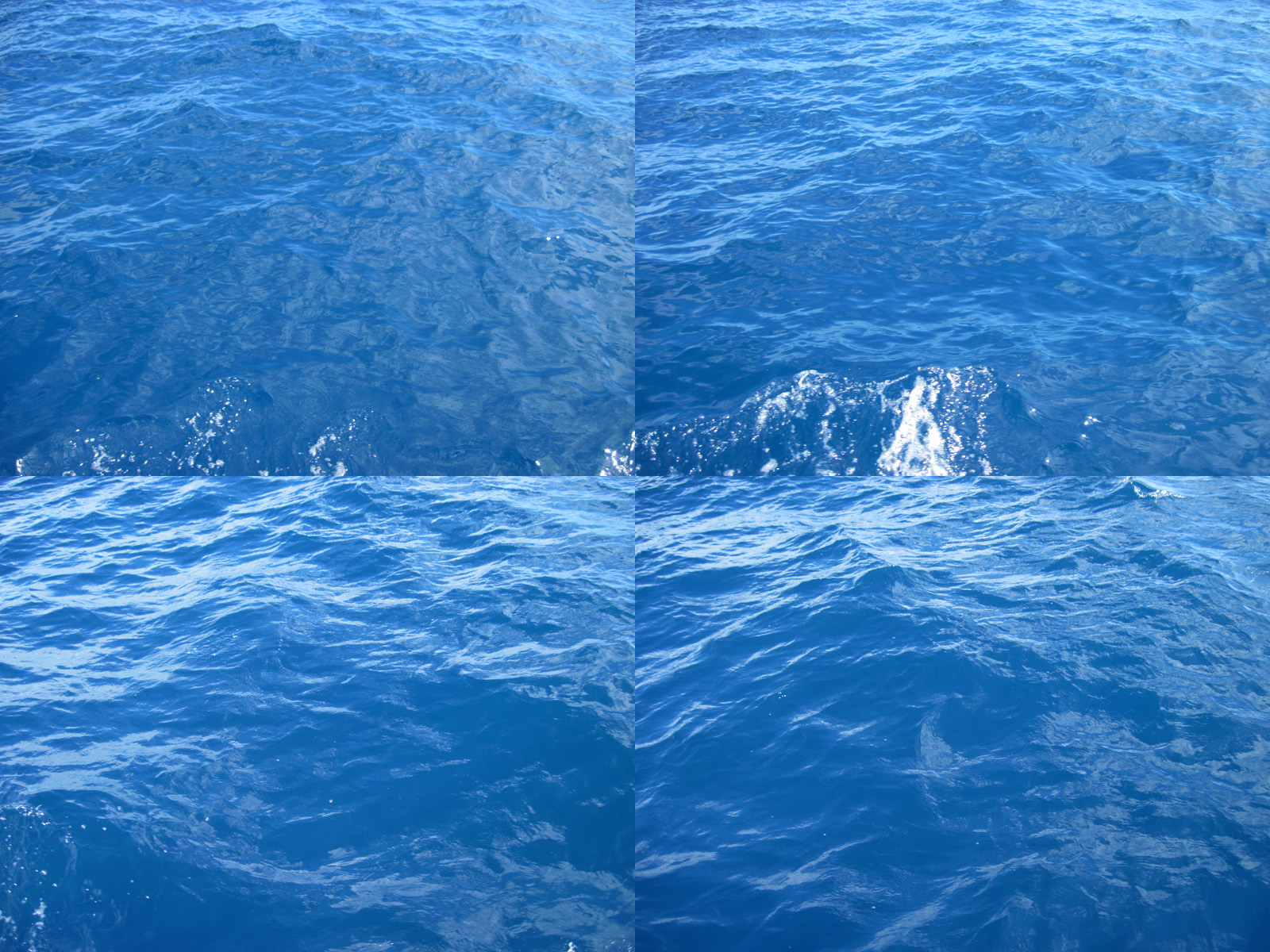 tones of blue color in ocean dominican republic