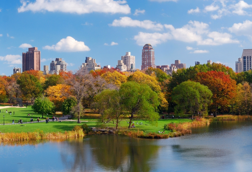 central park new york city amazing