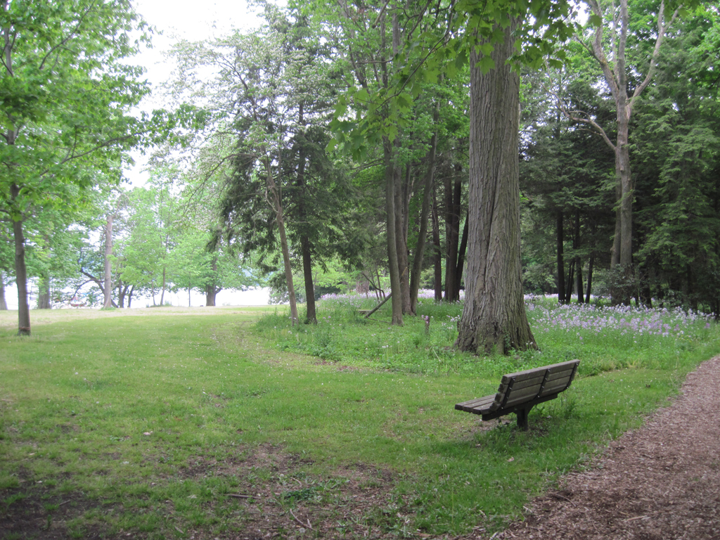 spring in long point state park new york