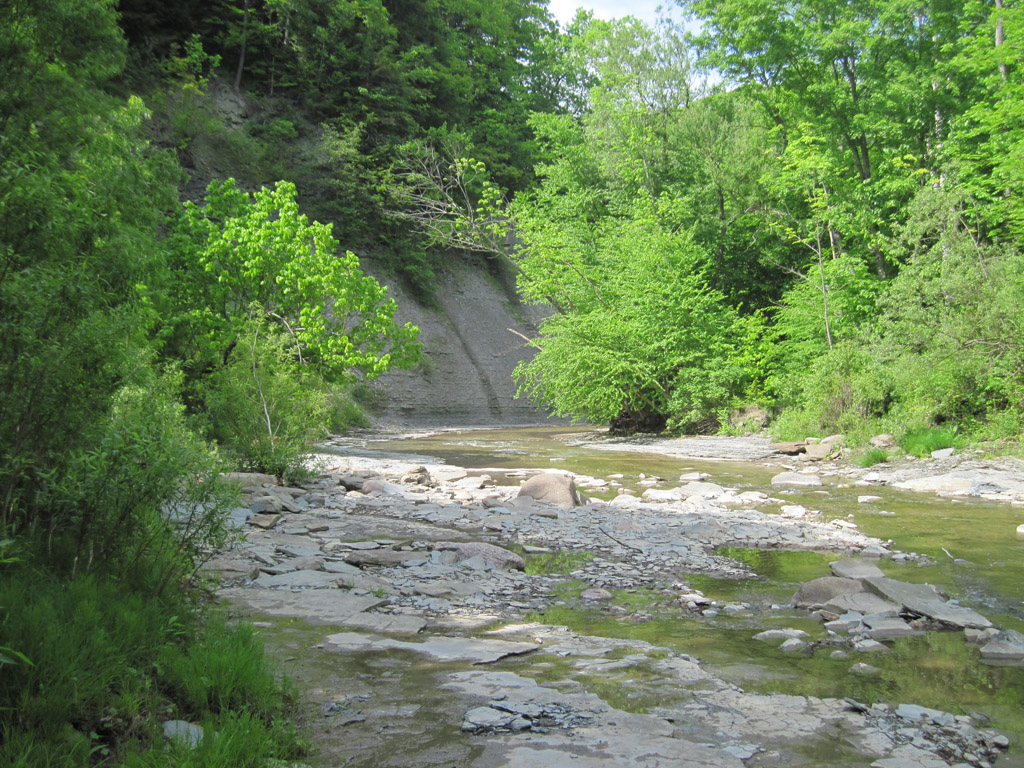 chautauqua creek gorge state forest wny