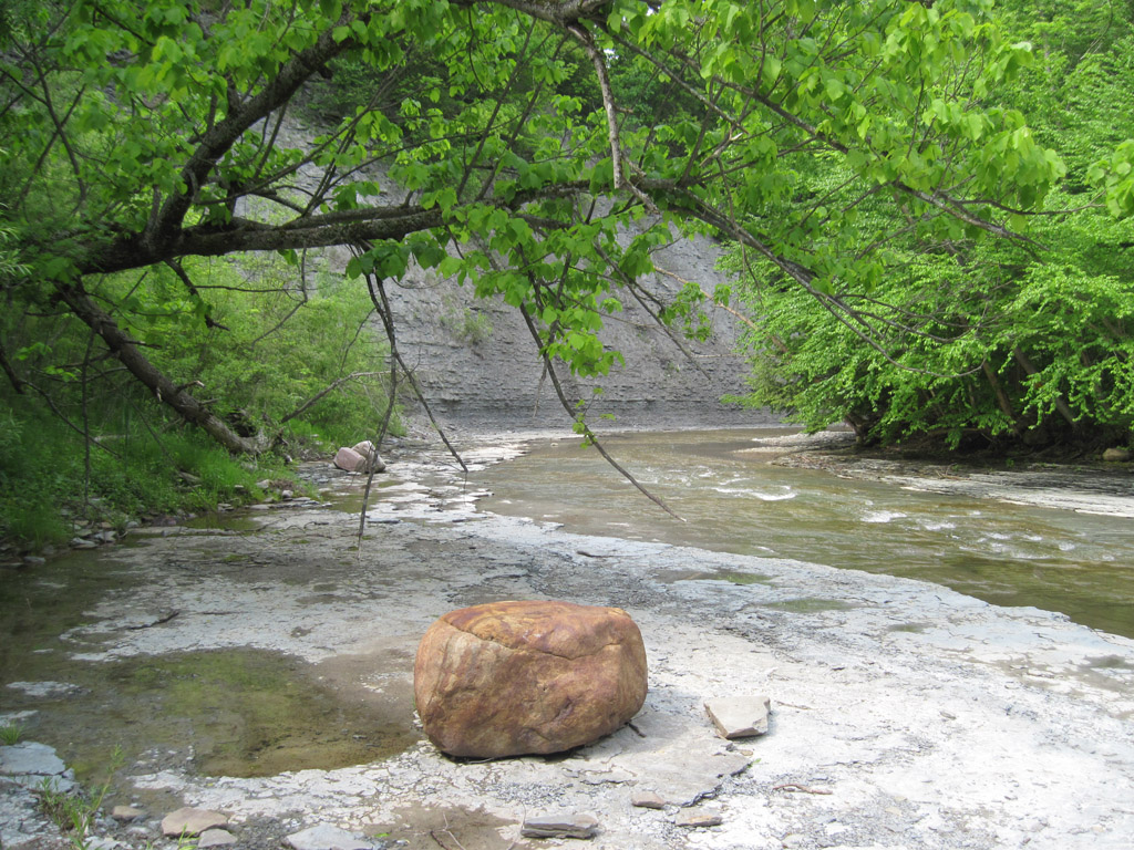 chautauqua creek trail walk western new york