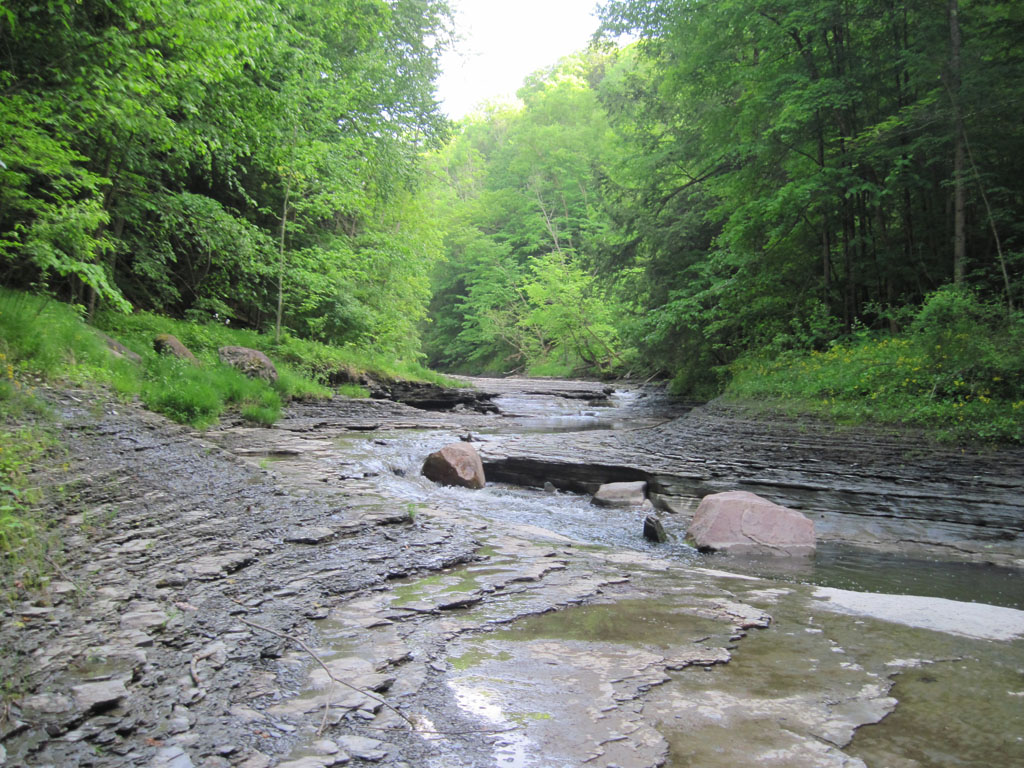 creek gorge state forest camping trail hiking