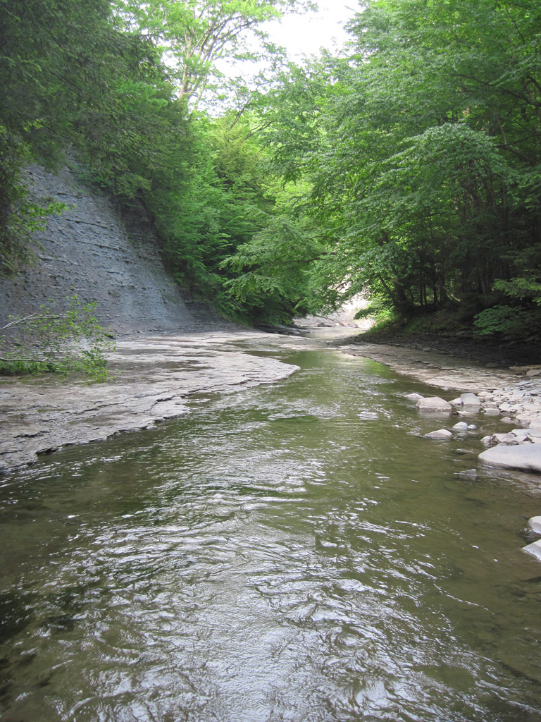 creek gorge state forest western new york attractions