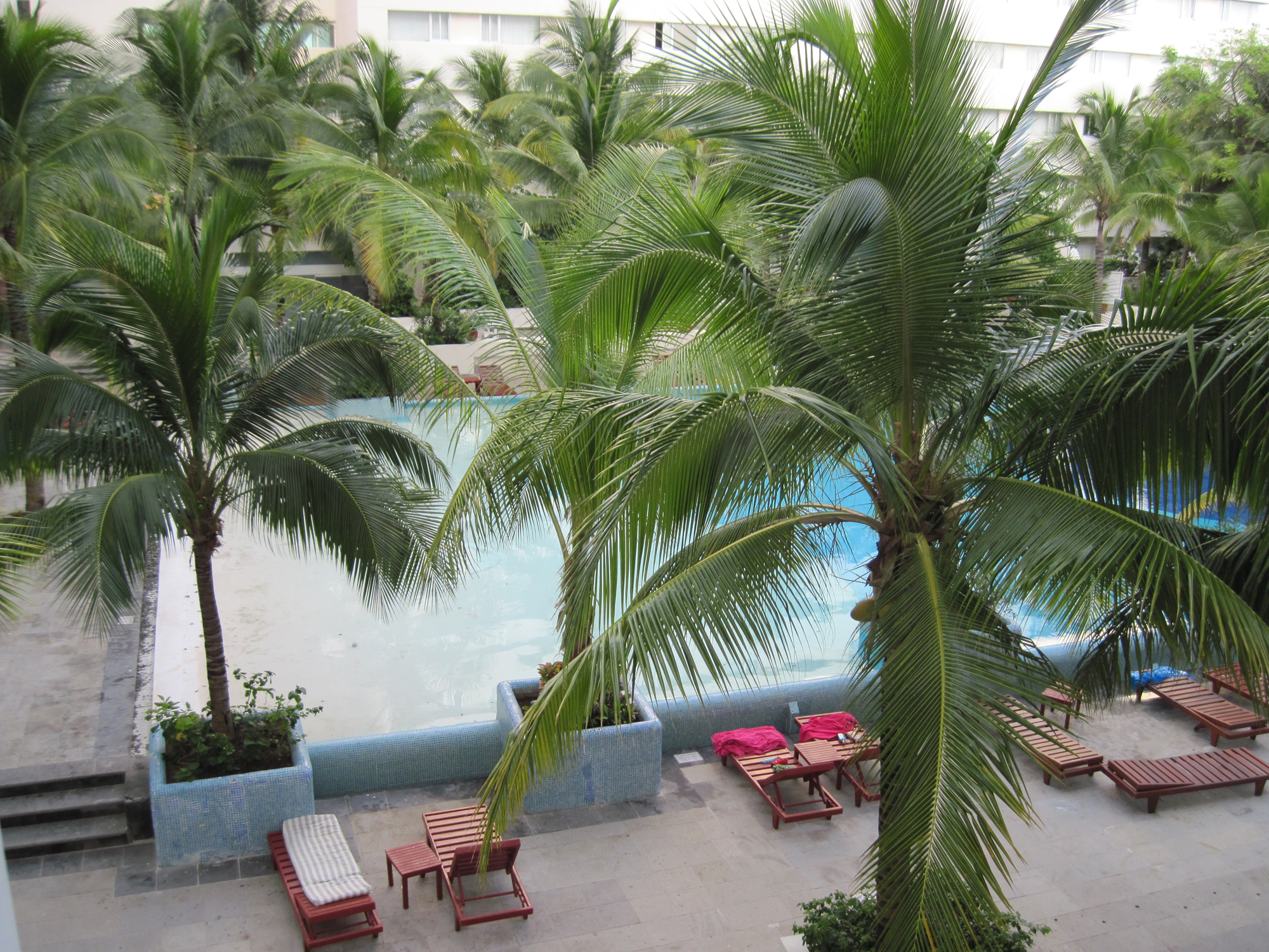 oasis palm beach hotel pool, mexico, cancun